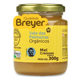 Mel Cremoso Orgânico Fazenda Vale Das Palmeiras 300g