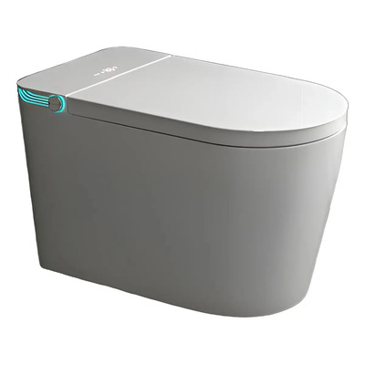 Inodoro Inteligente Automático Bidet Incorporado - Euromaglia | Envío gratis