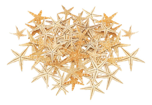 Tika Decoración De Estrella De Mar Natural Para 1-5cm 100