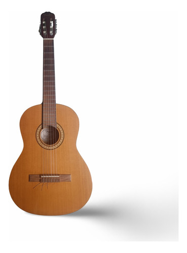 Guitarra Acustica Clasica Fender Fc-1 Diapason Nogal