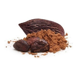 1 Kg Cacao Chiapaneco Puro Sin Azucar-envio Gratis