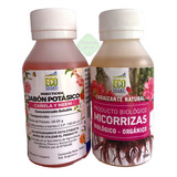 Combo Eco Mambo Micorrizas + Jabon Potasico 100ml Gabba Grow