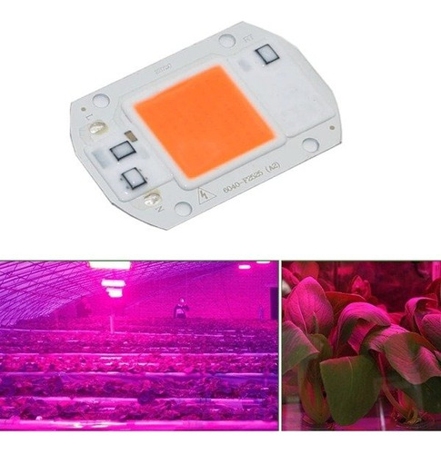 Chip Led 20w Full Spectro Cob 110v Ac Alta Potencia Plantas