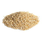 Quinoa Blanca Prelavada 5kg ( Minka )