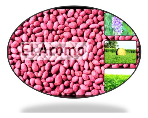 Semilla De Alfalfa G8 Inta Salinera 25 Kg Mejor Precio!!!