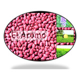 Semilla De Alfalfa G8 Inta Salinera 25 Kg Mejor Precio!!!