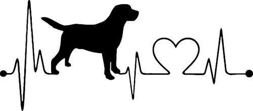 Sticker Para Auto Calcamonia Corazón Perro Labrador Retrieve