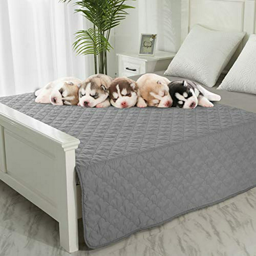 Protector De Muebles Impermeable Para Perros: Cobertor De So