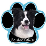 Border Collie Dog Paw Antideslizante Mousepad