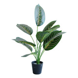 Planta Artificial Decorativa Maranta Leuconera 40cm