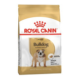 Royal Canin Bulldog Adulto 3 Kg