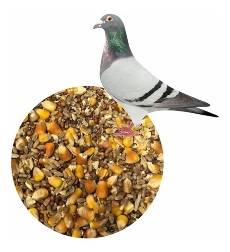 Mix De Semillas Para Palomas Alimento Aves X 3 Kg 