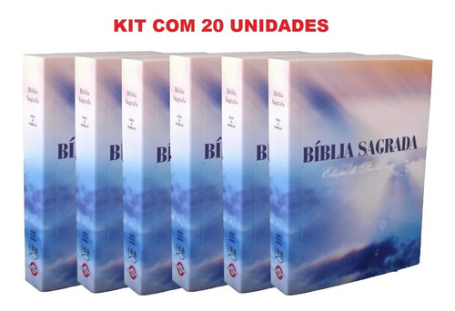 Caixa 20 Biblias Sagrada Evangelismo Doações Pequena Atacado
