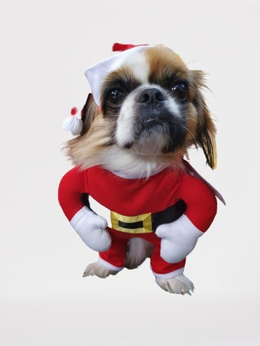 Roupa Pet Fantasia Papai Noel Para Cão E Gato