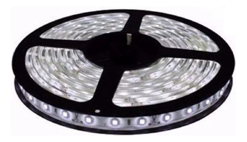 Rollo X 5mts Tira Led 5050 Ip20 Blanco  Frio - Calido 12v