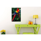 Vinilo Decorativo 60x90cm Loro Guacamayo Colores M6