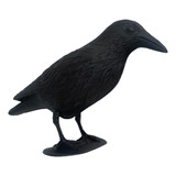 Cuervo Espantapájaros Negro