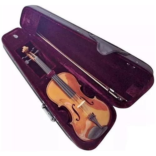 Viola Palatino Sv1011 4/4 De Estudio + Estuche Arco Resina..