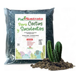 Sustrato Para Cactus Y Suculentas Palhogar 20 Lts