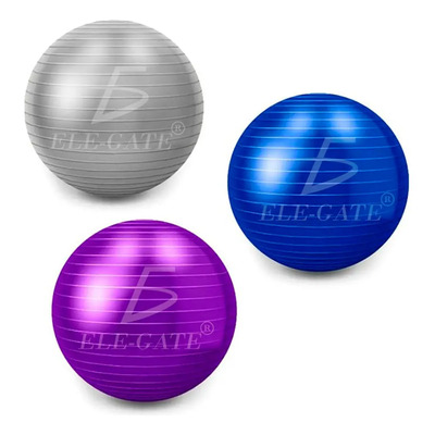 Pelota Estabilidad Barre Fitness Yoga Pilates Core Entrenamiento Terapia Física 65 cm Antideslizante Colores Ele-Gate | MercadoLibre