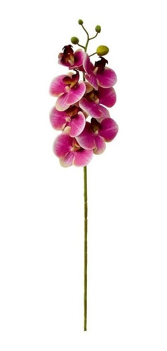 1 Galho De Orquídea Em Silicone Sem Folhas Haste Flor