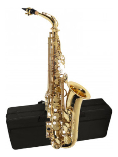 Sax Alto Michael Wasm30n