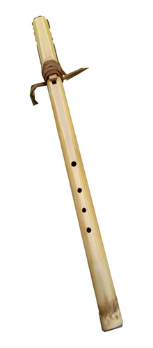 Flauta Nativo Americana