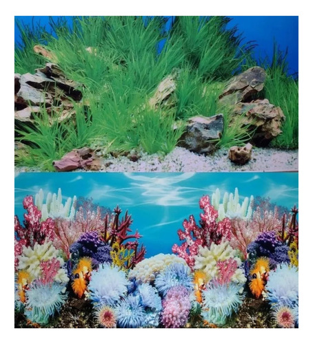 Painel Fundo Enfeite Aquario Coral Planta Decorativo 50x40cm