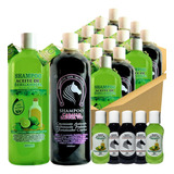 6 Shampoos Bergamota 6 Shampoo Cola De Caballo  +12 Muestras