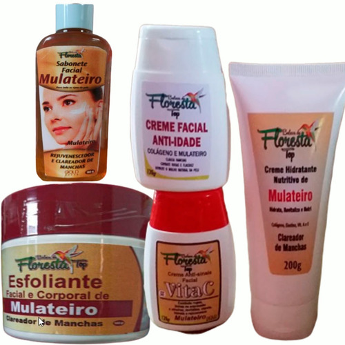 Mulateiro Kit Limpeza 5 Produtos De Limpeza Profunda