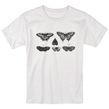 Camiseta Borboleta Inseto, Mariposa Bruxa Entomologia Barata