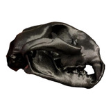 Cráneo De Puma Impreso En 3d Detta3d