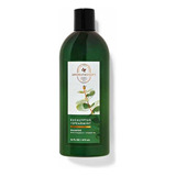 Bath & Body Works Aromatherapy Eucalyptus Spearmint Shampoo