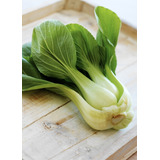 Semillas De Hortaliza Pak Choi Bok Choi Col China 