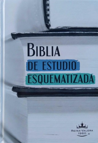 Biblia De Estudio Esquematizada Reina Valera 1960 Td