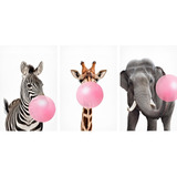 Quadro Zebra Girafa E Elefante Bubble Gum Kit 3 Telas Canvas