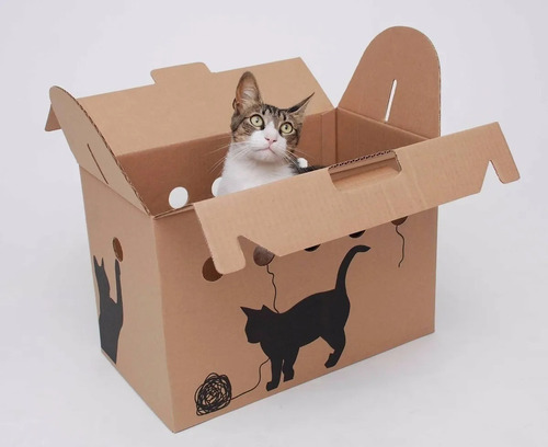 Caja Transportadora  De Cartón Gato