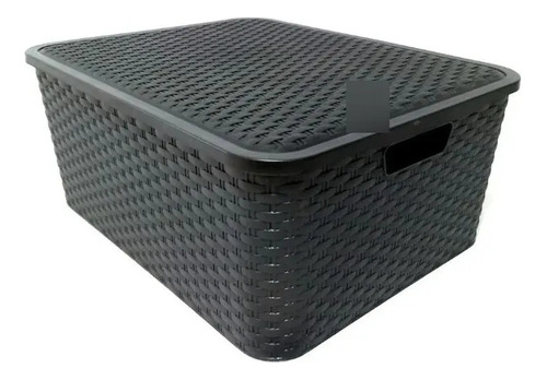 Canasto Caja Organizadora Plastico  Rattan Grande 