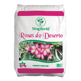 Substrato Rosas Deserto Fertilizante Orgânico Natural 2kg