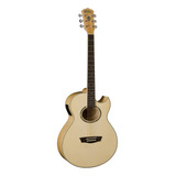 Washburn Fw-florentine Acou/electric Fw