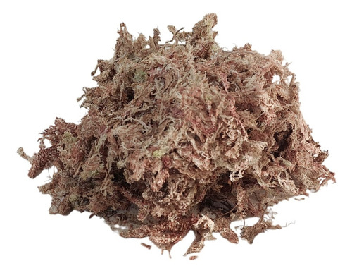 Musgo Sphagnum 40 Litros Deshidratado Premium