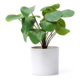 Planta Artificial Interior Decoracion Pilea 30cm