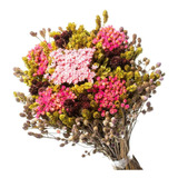 Buquê Preservado Rústico Colorido N9 I Flores Desidratadas