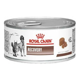 Royal Canin Recovery Perros Gatos 145g  , Envío Gratis Chile