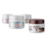 Kit Cronograma Lanox Hidratação Reconstrução + Mel Cola 250g