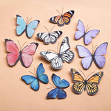 Set X24 Mariposas Surtidas 3d Autoadhesiva Decoración Pared