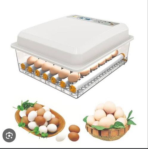 Incubadora De 15 Huevos 