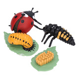 Figuras De Lady Bug Toy Life Cycle Con Forma De Mariquita De