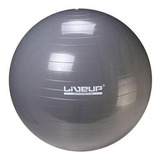 Bola Suíça 85cm Liveup - Cinza