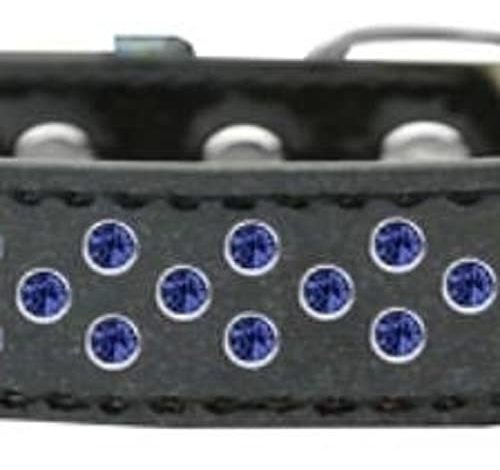 Mirage Pet Products Sprinkles Ice Cream Dog Collar With Blue
